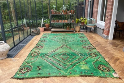 beni mguild groen 45017 390cm x 235cm  