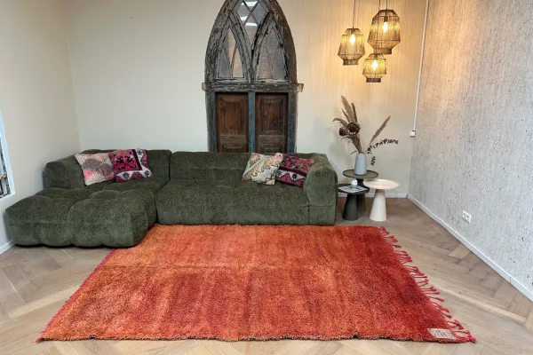 Beni mguild vloerkleed 74639 278cm x 188cm