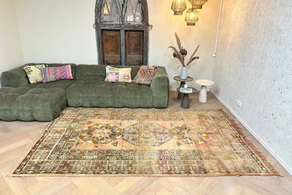 beni mguild vloerkleed 22225 305cm x 190cm