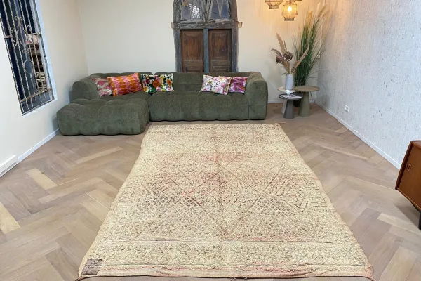 beni mguild vloerkleed 62338 327cm x 206cm  