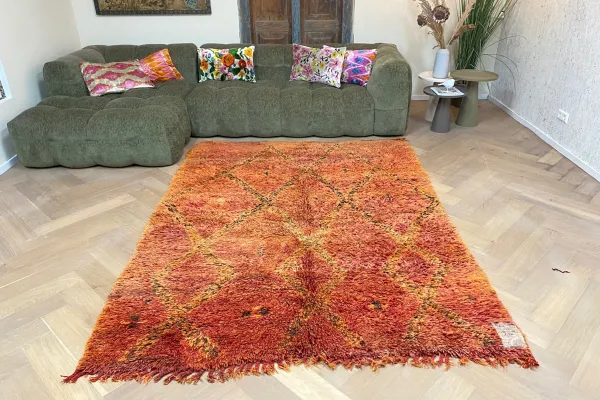 beni mguild vloerkleed 93721 255cm x 186cm