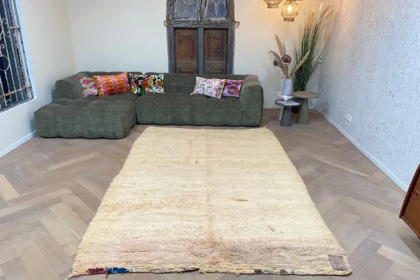 beni mguild vloerkleed 15216 290cm x 190cm