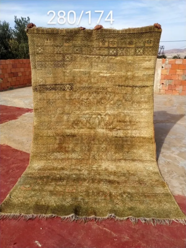 beni mguild vloerkleed 88501 280cm x 174cm leverbaar februari (niet gekregen)