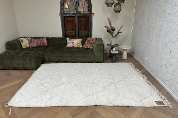 Beni ouarain 17016 296cm x 210cm  