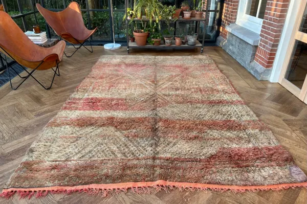 beni mguild 16445 333cm x 218cm