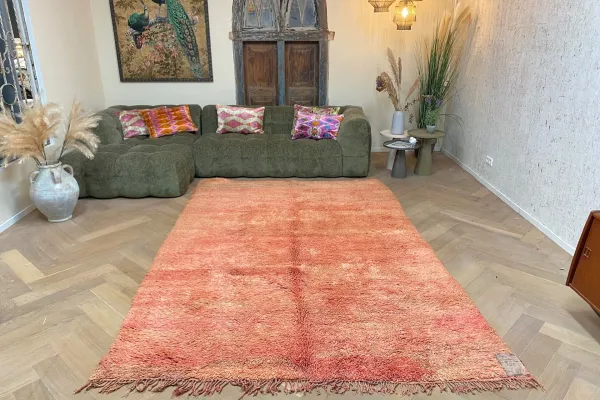 beni mguild vloerkleed 57615 305cm x 207cm 