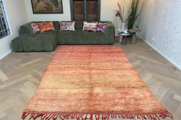 beni mguild vloerkleed 69004 303cm x 203cm