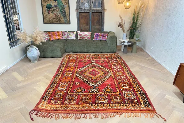 beni mguild vloerkleed 21204 313cm x 203cm  