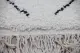 Beni ourain  15301 250cm x 160cm