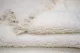 Beni ouarain 12515 290cm x 205cm