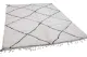 GERESERVEERD Beni ouarain vloerkleed nr.16828 290cm x 209cm