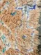 beni mguild vloerkleed 68998 300cm x 192cm l