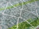 beni mguild groen 41528 300cm x 210cm 