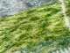 beni mguild groen 41528 300cm x 210cm 