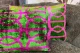 Ikat Velvet kussen groen, paars 60cm x 40cm incl binnen kussen  