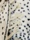 SALE Beni ouarain 89160 280cm x 185cm