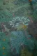Jardin de Noche by Pip Dark Green