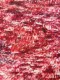 berber vloerkleed rood 46512 240cm x 185cm 