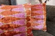Sale Ikat Velvet kussen roze oranje 60cm x 40cm incl binnen kussen (klein vlekje)