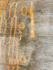 Beni ouarain 27645 300cm x 250cm 