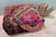 Moroccan Pouf No. 47039 60cm x 60cm x 25cm including filling
