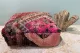 Moroccan Pouf No. 47039 60cm x 60cm x 25cm including filling
