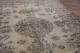 vintage vloerkleed beige 22243 278cm x 160cm kleed heeft een klein gaatje