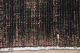 Vintage vloerkleed zwart 31000 236cm x 161cm
